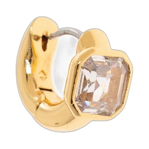 Hoop Earrings With Crystal
