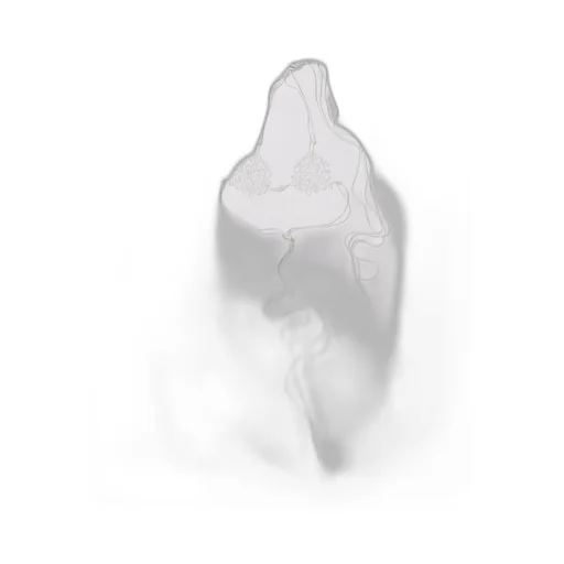 Floral Applique Bikini Top