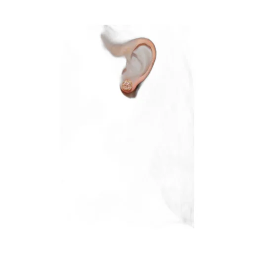 Stud Earrings