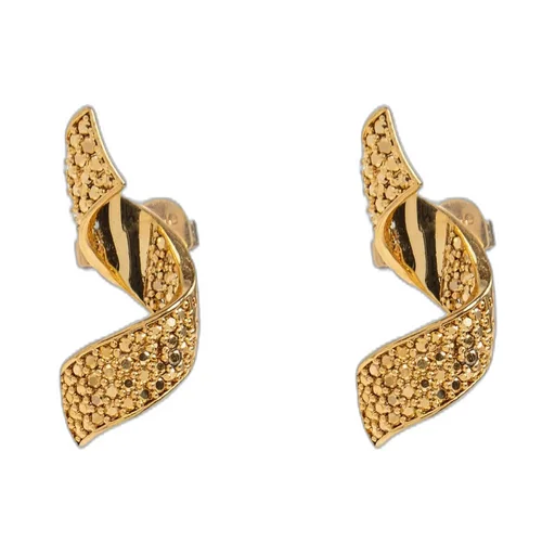 Twisted Hoop Earrings