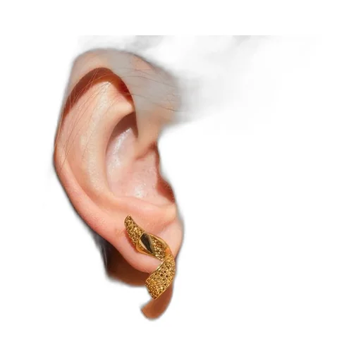 Twisted Hoop Earrings