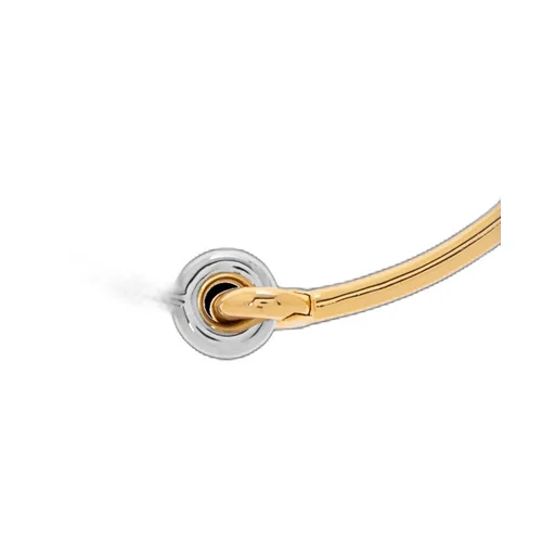 Two-Tone Choker Necklace