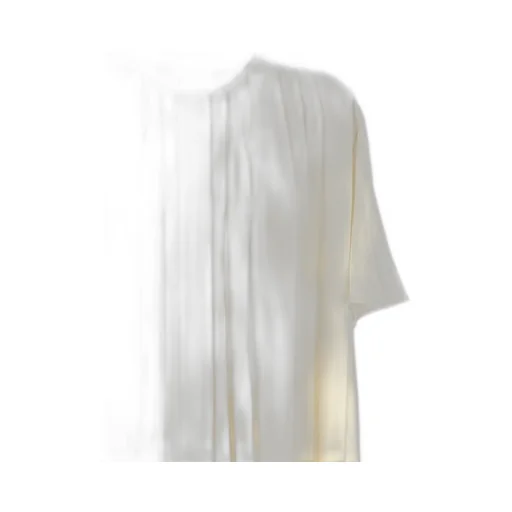 Pleated Blouse