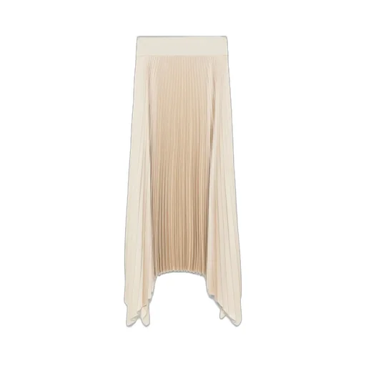 Pleated Asymmetric Skirt