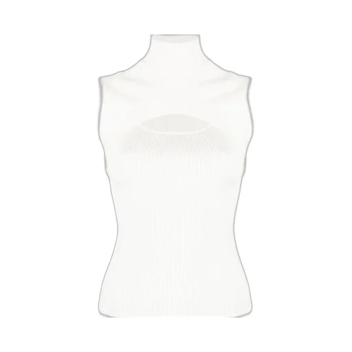 Ribbed Knit Turtleneck Top