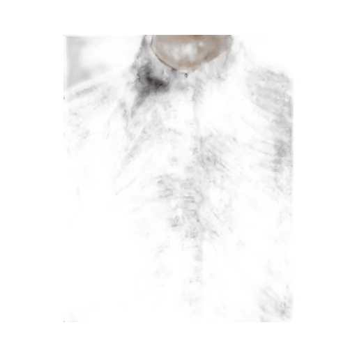 Long-Sleeved Shirt With Animalier Print