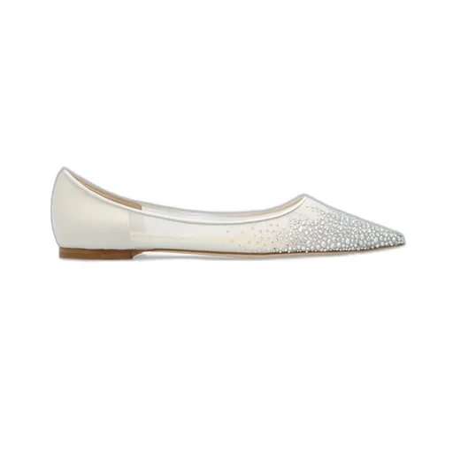 Pointed Toe Ballet Flats