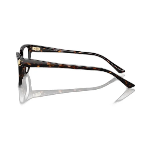 Eyeglasses