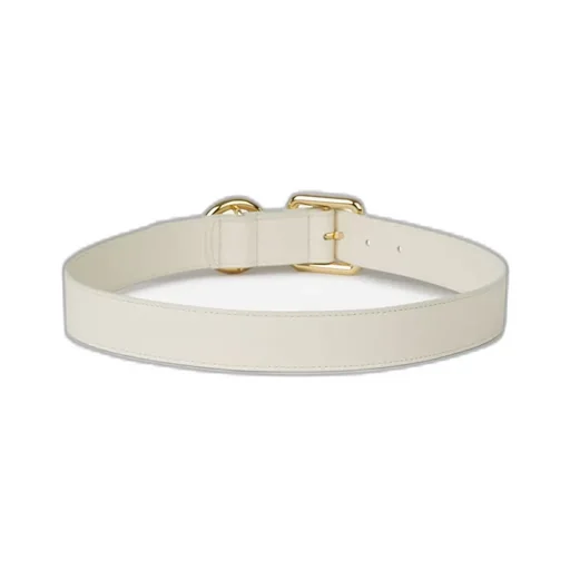 Belt With Double Buckle