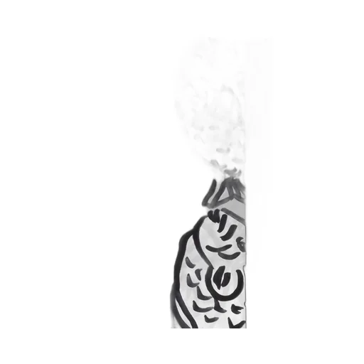 Fish Print Scarf