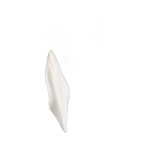Asymmetric Tie Front Shirt