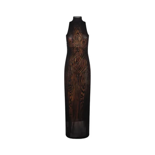 Sheer Maxi Dress