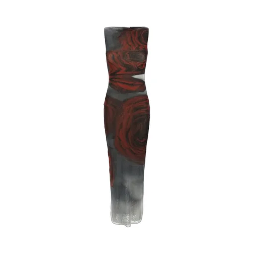 Rose Print Mesh Maxi Dress