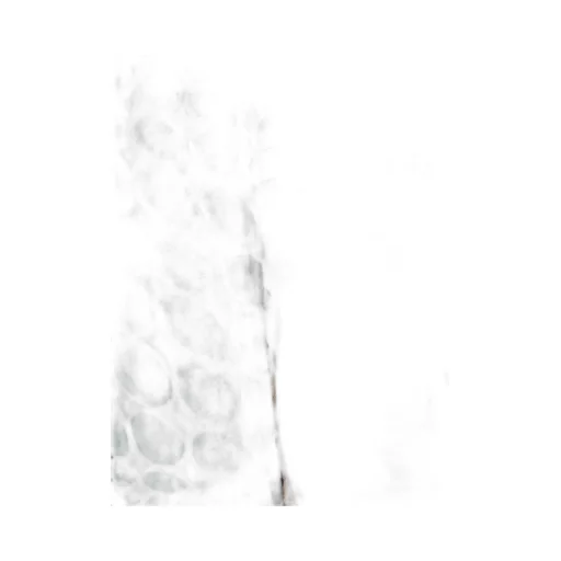 Mesh Flare Pants