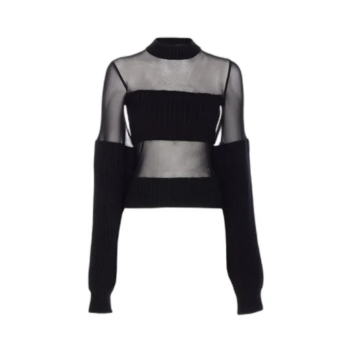 Sheer Panel Knit Sweater