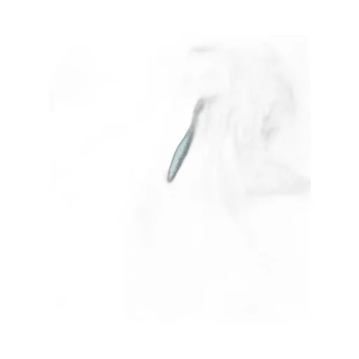 Long Sleeve Mesh Top