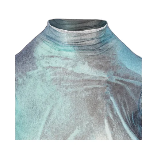 Mesh Turtleneck Top