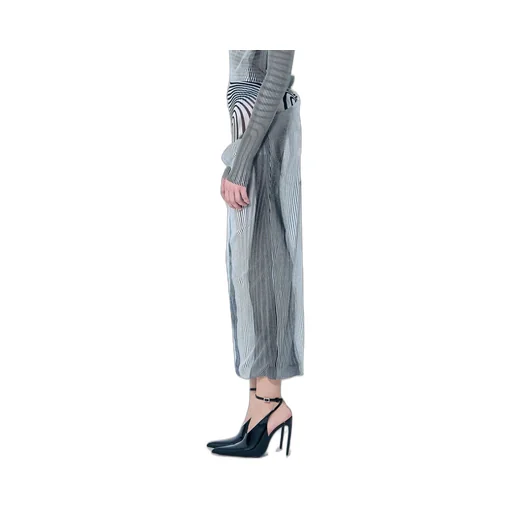 Striped Print Sheer Maxi Dress