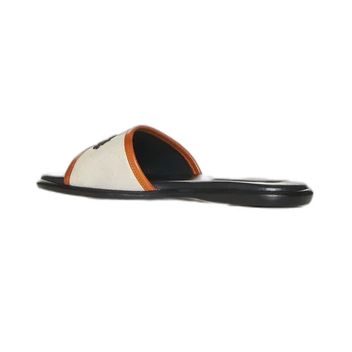 Slides