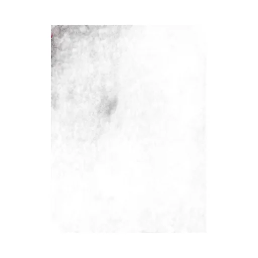 Ruffled Floral Print Blouse