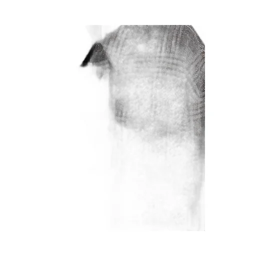 Checked Long Coat