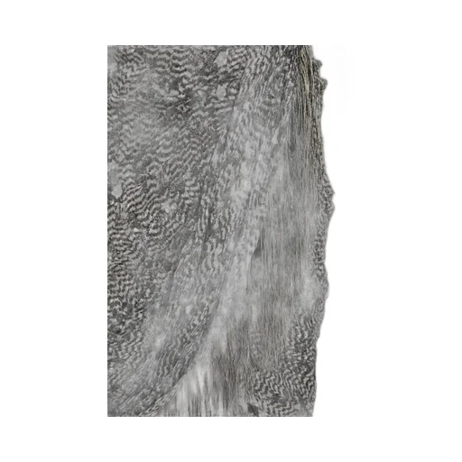 Asymmetric Draped Skirt