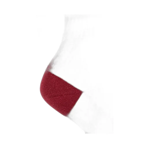 Ribbed Knee-High Socks