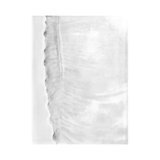 Ruched Midi Skirt