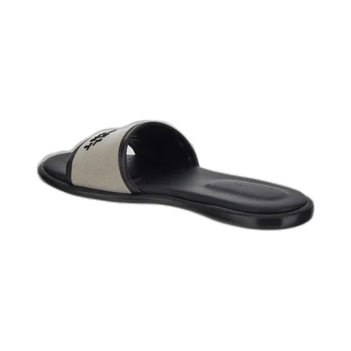 Slides
