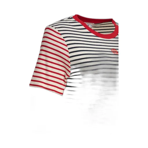 Striped T-Shirt With Contrast Collar And Sleeves