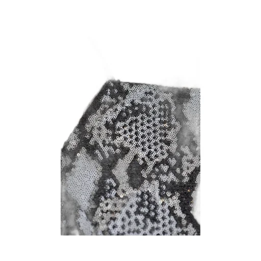 Sequin Snake Print Crop Top