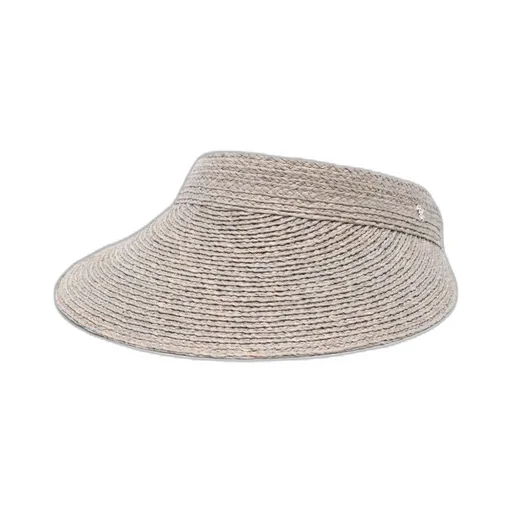 Visor