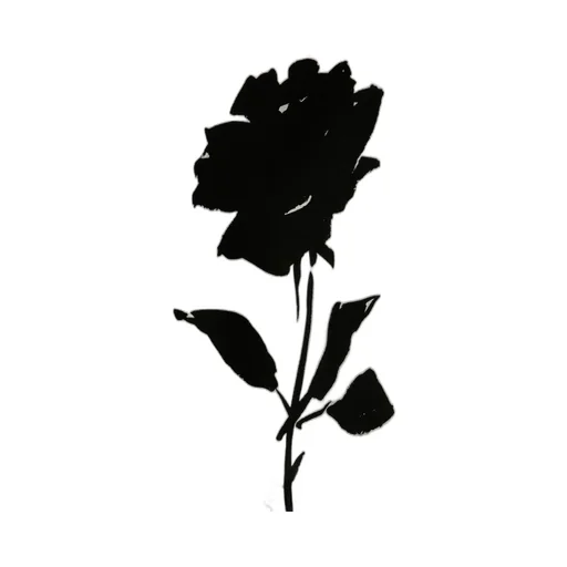T-Shirt With Rose Print