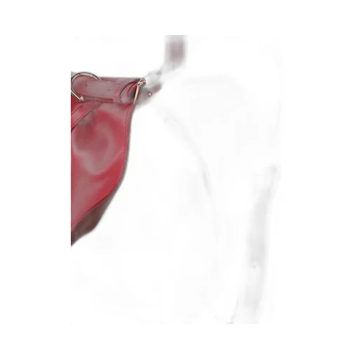 Hobo Bag