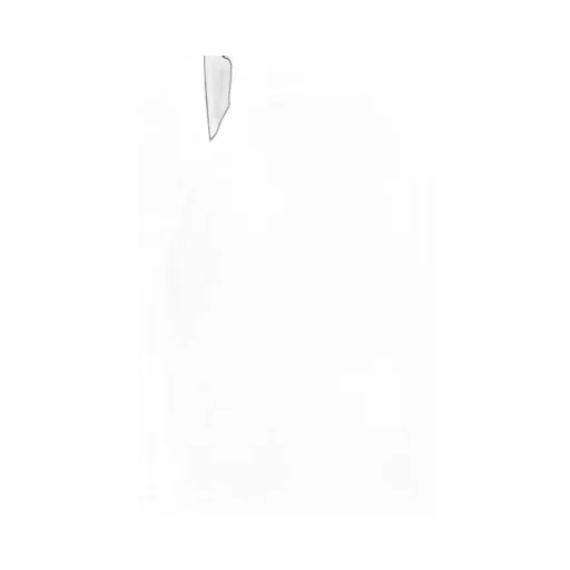 High-Waisted Culottes