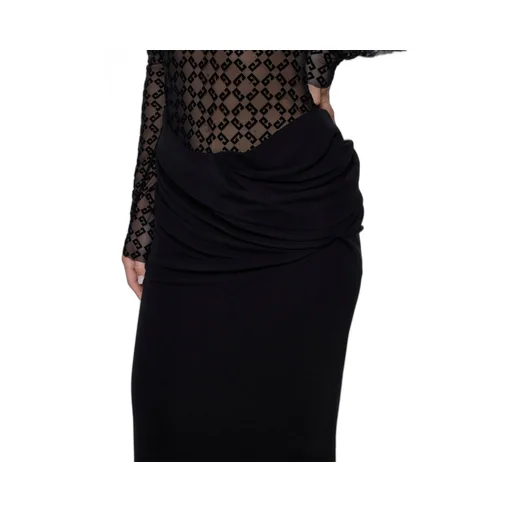 Long Sleeve Sheer Dress