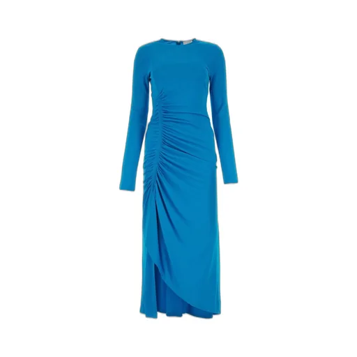 Long Sleeve Ruched Dress