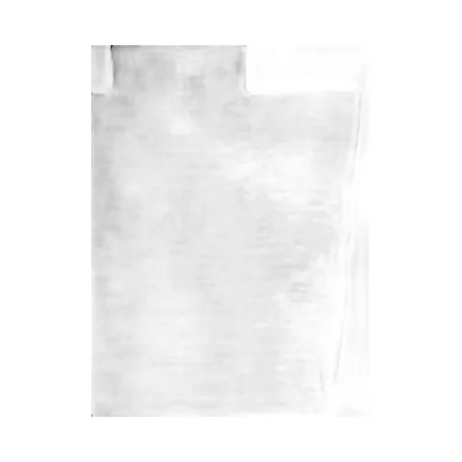 Sleeveless Turtleneck Top