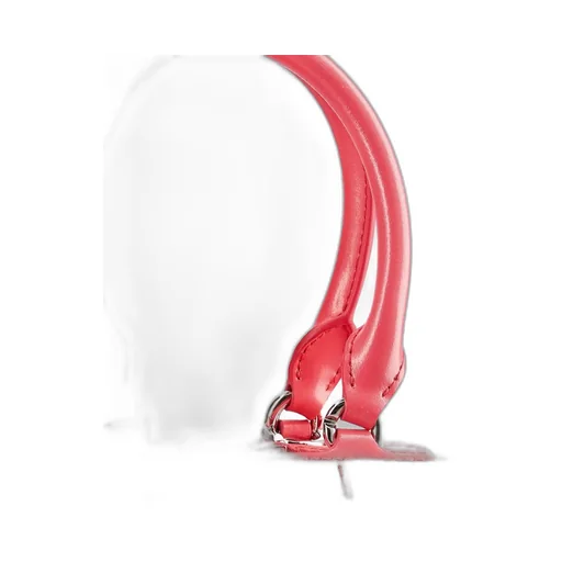 Mini Antigona Bag