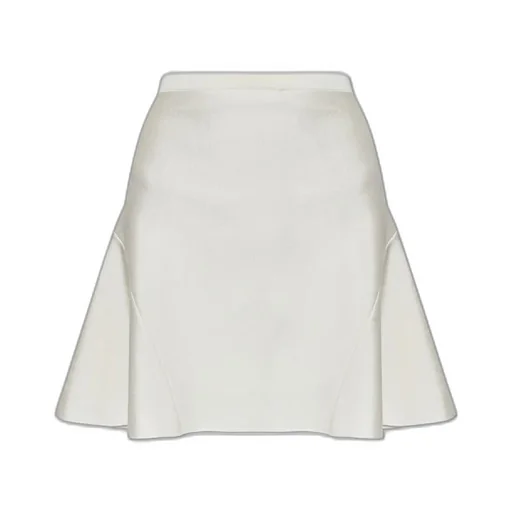 Flared Mini Skirt