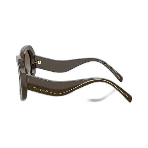Oversized Oval Sunglasses