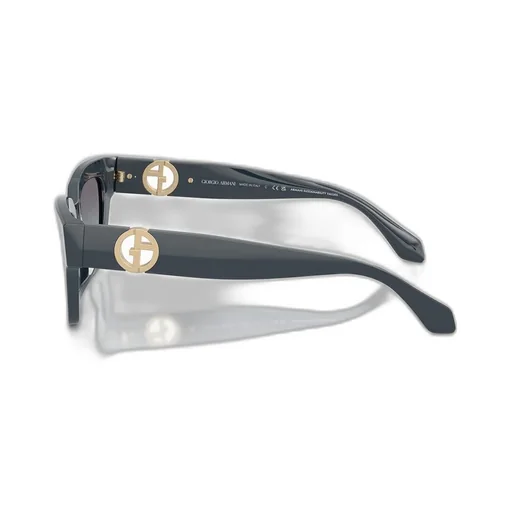 Square Frame Sunglasses