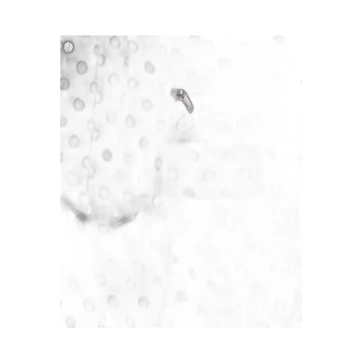 Polka Dot Maxi Skirt