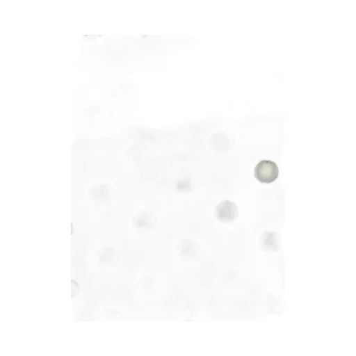 Polka Dot Top Handle Bag