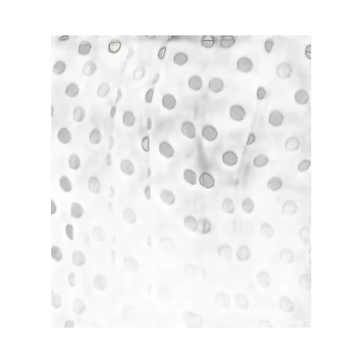 Polka Dot Corset Top