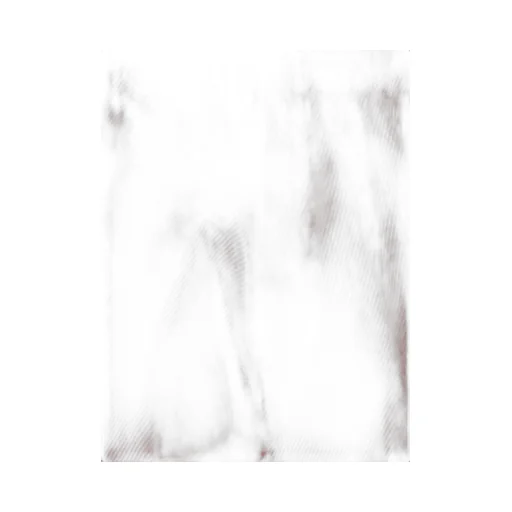 Wide-Leg Trousers
