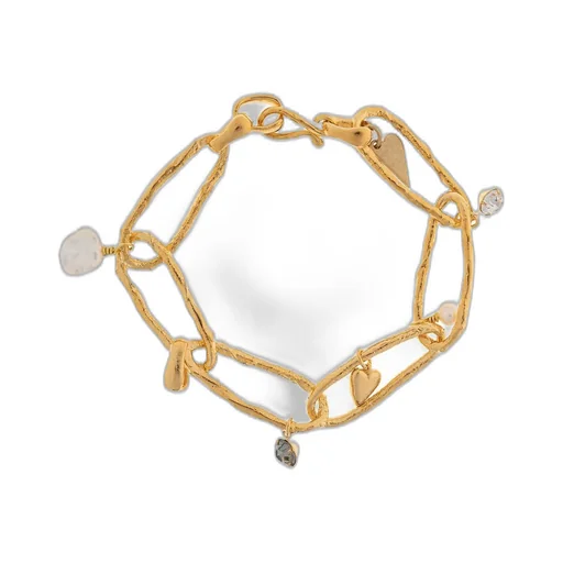 Charm Bracelet