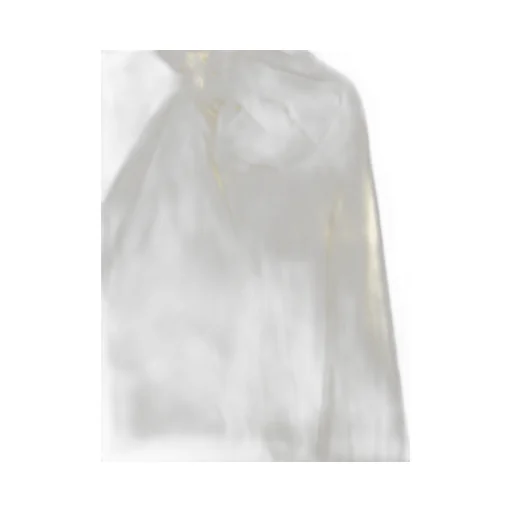 Bow Neck Blouse