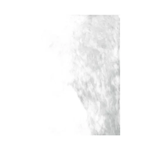 Faux Fur Vest