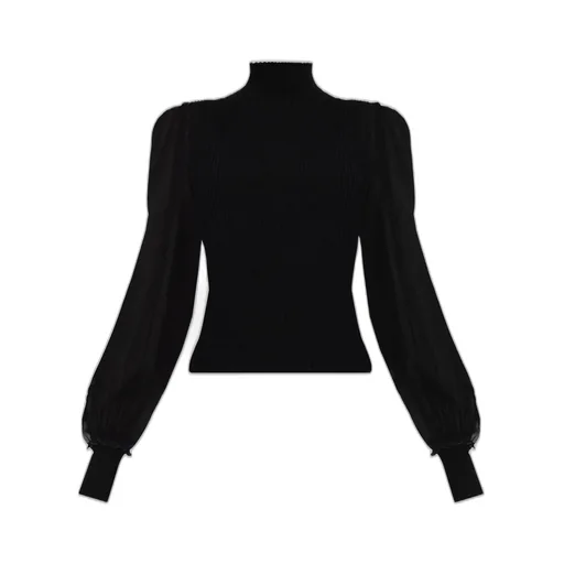 Ribbed Turtleneck Top With Sheer Sleeves